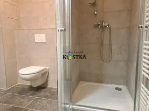 Pronájem bytu 1+kk, Nový Jičín, Dolní brána, 56 m2