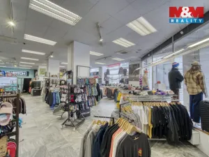 Pronájem obchodního prostoru, Plzeň - Vnitřní Město, Zbrojnická, 598 m2