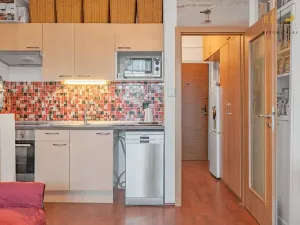 Pronájem bytu 1+kk, Brno, Opálkova, 24 m2