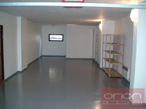 Pronájem rodinného domu, Praha - Nebušice, V březinkách, 365 m2