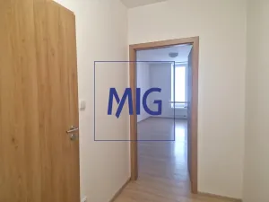 Pronájem bytu 1+kk, Syrovice, 28 m2