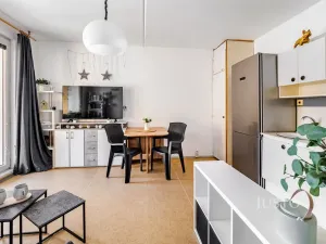 Prodej bytu 1+1, České Budějovice, N. Frýda, 41 m2