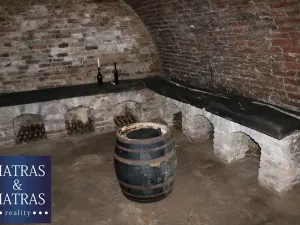 Prodej pozemku pro bydlení, Pavlov, Rudolfa Gajdoše, 59 m2