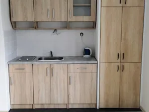 Pronájem bytu 1+kk, Ostrava - Poruba, Aleše Hrdličky, 24 m2