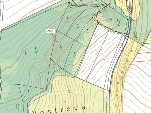 Dražba lesa, Jenišovice, 2305 m2