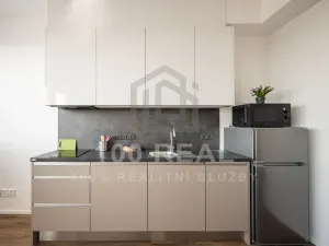 Pronájem bytu 1+kk, Hradec Králové, Průmyslová, 29 m2