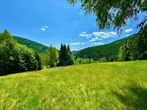 Prodej chalupy, Malá Úpa, 158 m2