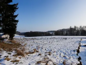 Prodej pozemku, Plesná, 913 m2