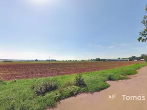 Prodej pole, Kojetín, 16106 m2