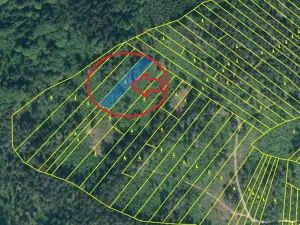 Prodej podílu lesa, Zálezly, 799 m2