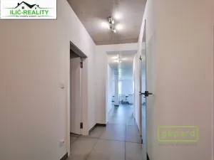 Pronájem bytu 3+kk, Plzeň, Na Roudné, 96 m2