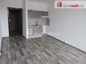 Pronájem bytu 1+kk, Karviná - Mizerov, Studentská, 29 m2