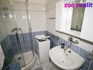 Pronájem bytu 1+1, České Budějovice, Staroměstská, 43 m2