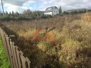 Prodej pozemku pro bydlení, Dětřichov nad Bystřicí, 2037 m2