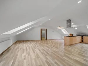 Prodej bytu 4+kk, Brno - Husovice, Nováčkova, 138 m2