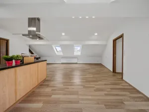 Prodej bytu 4+kk, Brno - Husovice, Nováčkova, 138 m2