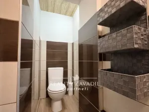 Prodej rodinného domu, Dolní Benešov, Nádražní, 91 m2