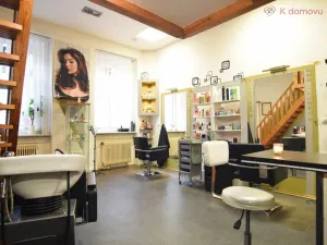 Prodej bytu 2+1, Brno - Staré Brno, Hybešova, 79 m2