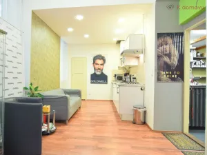 Prodej bytu 2+1, Brno - Staré Brno, Hybešova, 79 m2