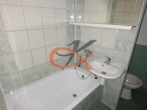 Pronájem bytu 1+1, Olomouc, Heyrovského, 33 m2