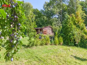 Prodej zahrady, Lom, 738 m2