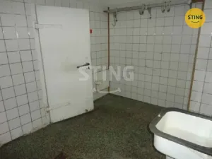 Pronájem skladu, Ostrava, Staroveská, 46 m2