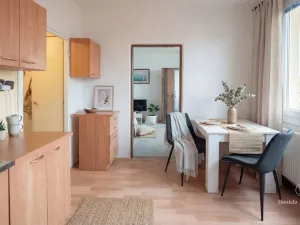 Prodej bytu 1+1, České Budějovice - České Budějovice 3, Plzeňská, 30 m2