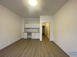 Pronájem bytu 1+kk, Praha - Nové Město, Plavecká, 22 m2