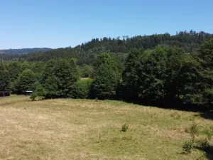 Prodej pozemku pro bydlení, Olešnice v Orlických horách, 3446 m2