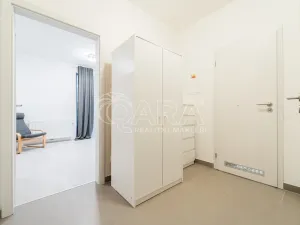 Pronájem bytu 1+kk, Praha - Karlín, U Mlýnského kanálu, 36 m2