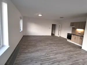 Pronájem bytu 2+kk, Plzeň, Železniční, 73 m2