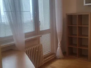 Prodej bytu 2+1, Přerov, U Tenisu, 52 m2