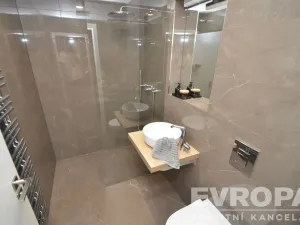 Pronájem bytu 2+kk, Praha - Karlín, Peckova, 55 m2