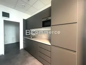 Pronájem skladu, Brno, Vídeňská, 175 m2