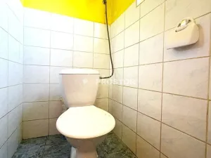 Prodej restaurace, Zápy, 260 m2