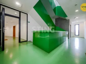 Pronájem bytu 3+kk, Ostrava, Biskupská, 102 m2