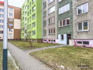 Prodej bytu 1+1, Ostrava - Moravská Ostrava, Šalamounská, 37 m2