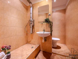 Prodej bytu 1+1, Ostrava - Moravská Ostrava, Šalamounská, 32 m2