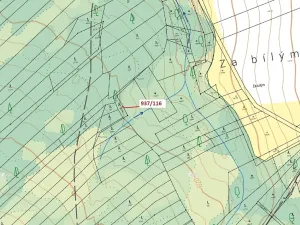 Dražba lesa, Netřebice, 295 m2
