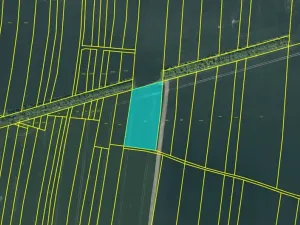 Dražba pole, Chotěšov, 7368 m2