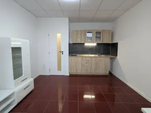Pronájem bytu 1+kk, Litvínov, Mostecká, 22 m2