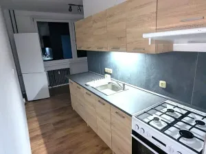 Pronájem bytu 2+1, Ústí nad Labem, Gagarinova, 64 m2