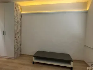 Pronájem bytu 1+kk, České Budějovice, Puklicova, 25 m2