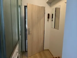 Pronájem bytu 1+kk, České Budějovice, Puklicova, 25 m2