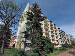 Pronájem bytu 1+kk, České Budějovice, Puklicova, 25 m2