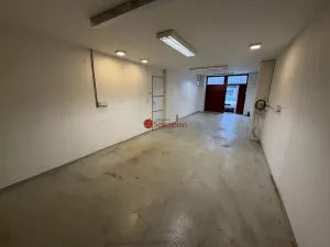 Pronájem komerční nemovitosti, Praha - Žižkov, Hartigova, 40 m2