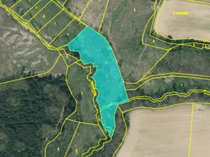 Prodej rybníku, Dolní Hořice - Pořín, 8552 m2