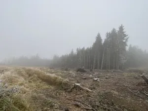 Prodej lesa, Městečko Trnávka - Lázy, 32904 m2
