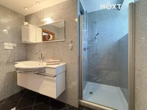 Prodej vícegeneračního domu, České Budějovice, Borovanská, 195 m2