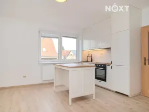 Prodej bytu 2+1, České Budějovice, Ant. Slavíčka, 64 m2